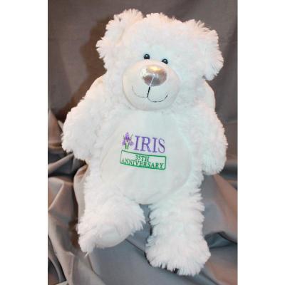 35th Anniversary Angel Bear - Shipped